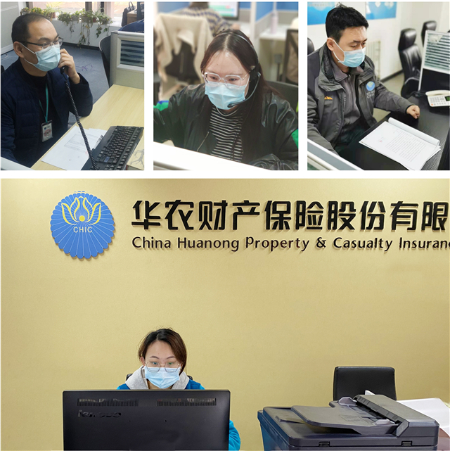 1613784923349030.jpg 華農22.jpg